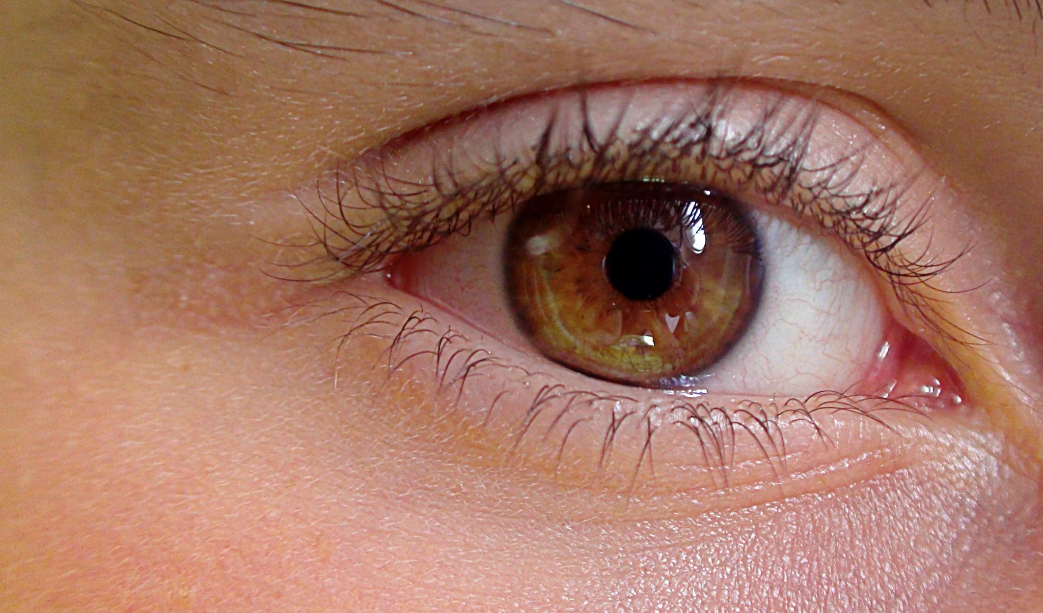 uroburos-eye-419646