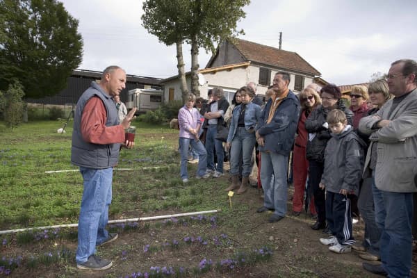 Fête du Safran du Quercy à Cajarc