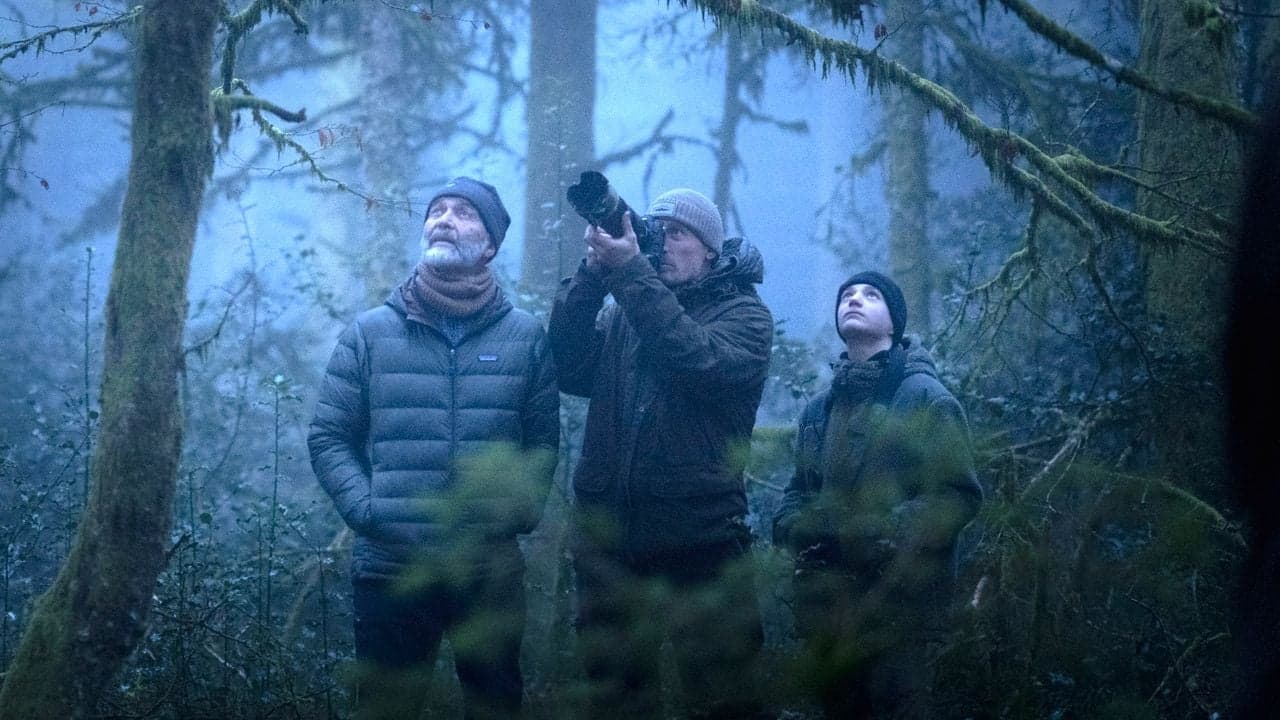 Le Chant des forets