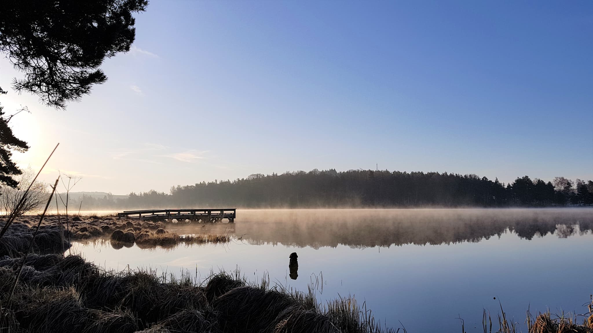 Ponton au lever du jour Printemps
