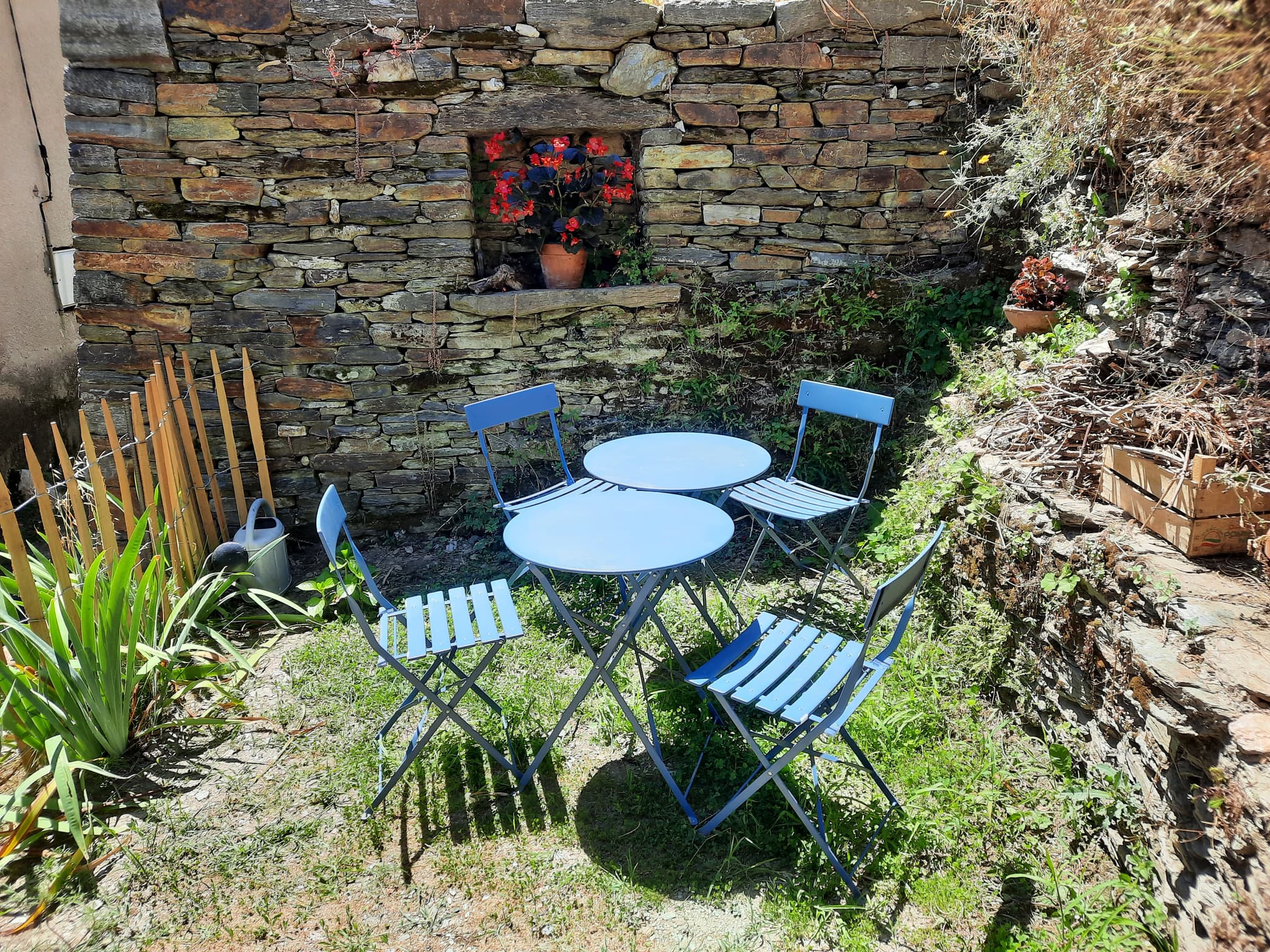 Petit jardin