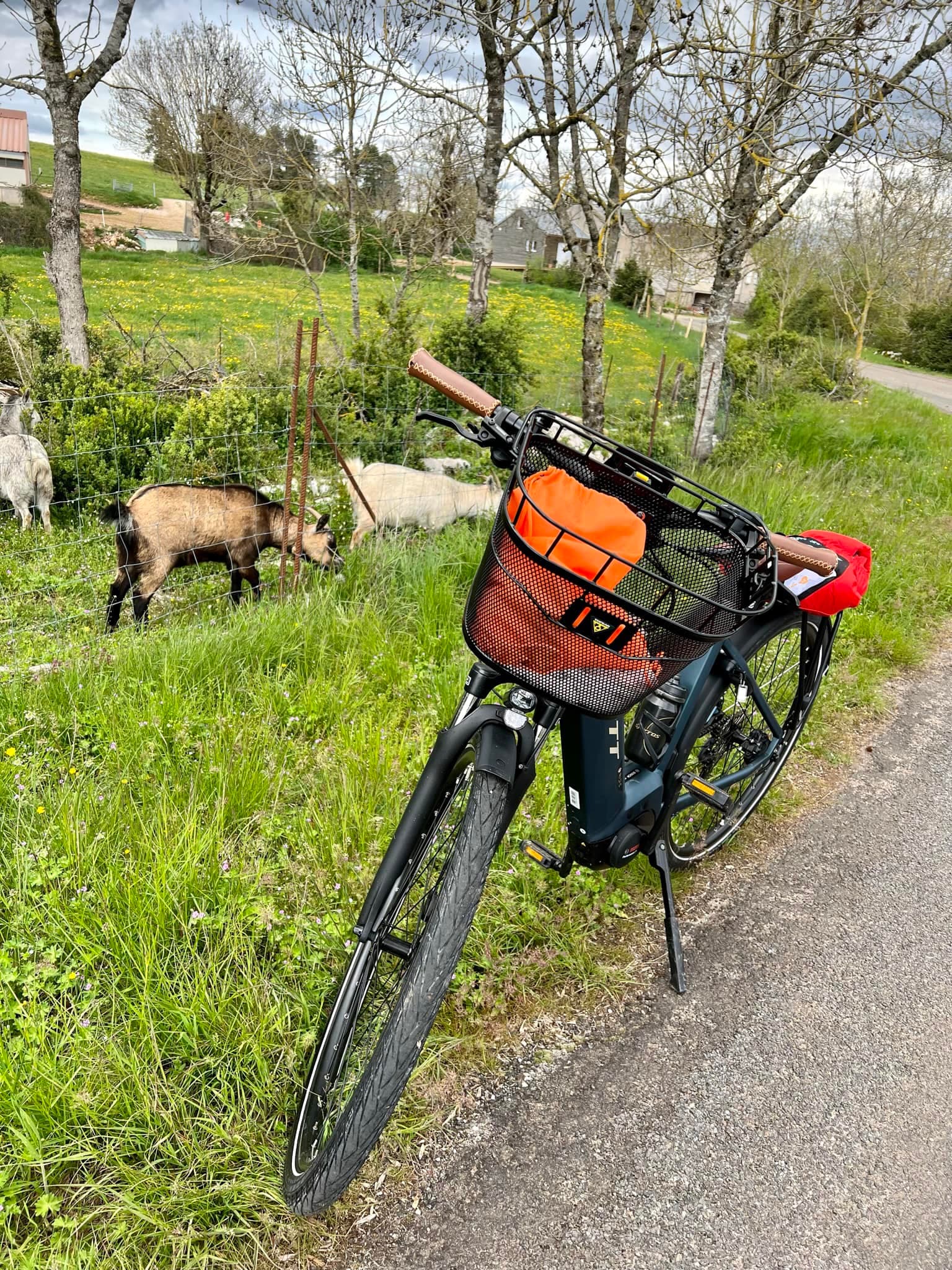 Les vélos des Gorges du Tarn