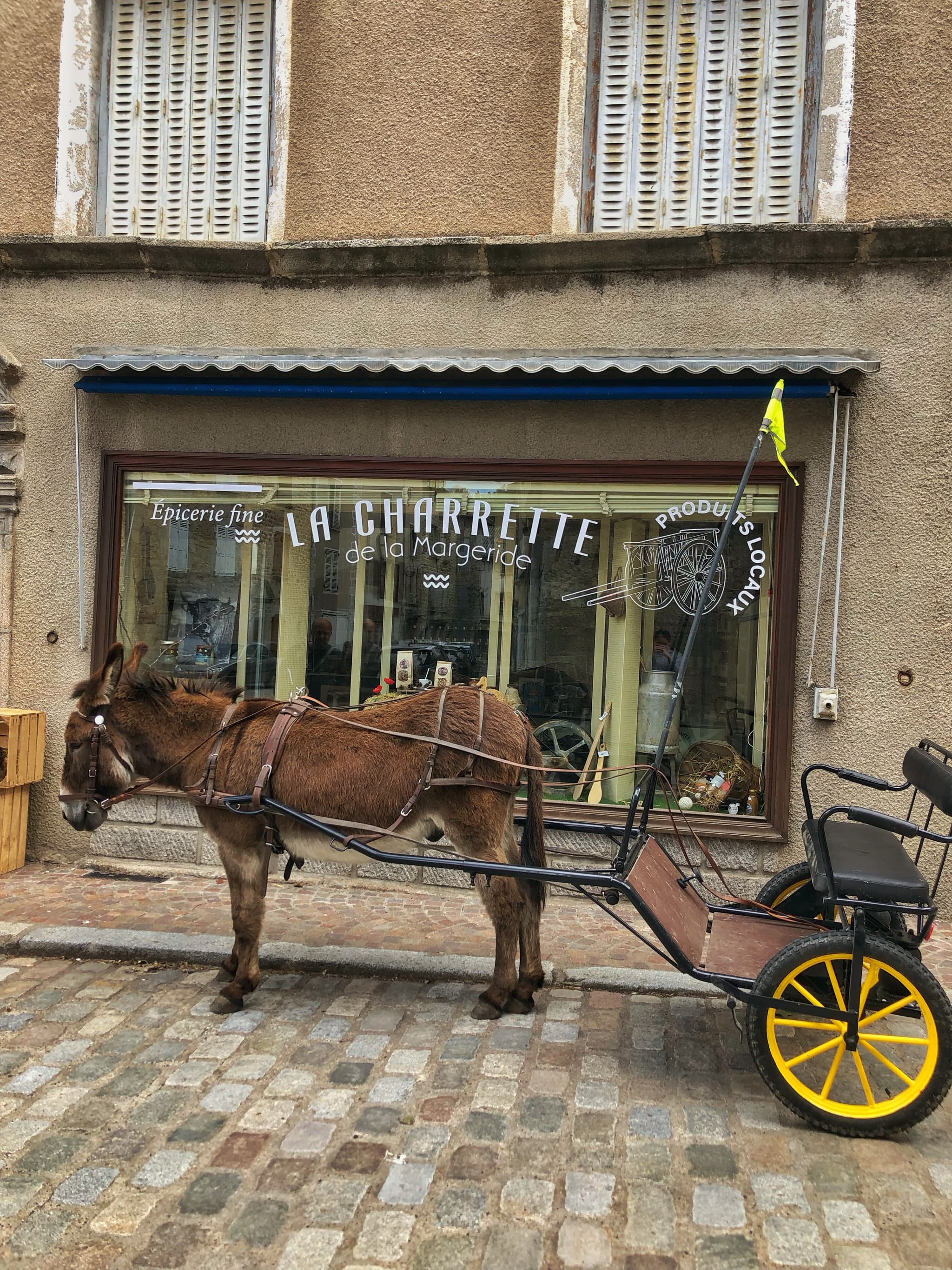 Ânes du petit château du Villard