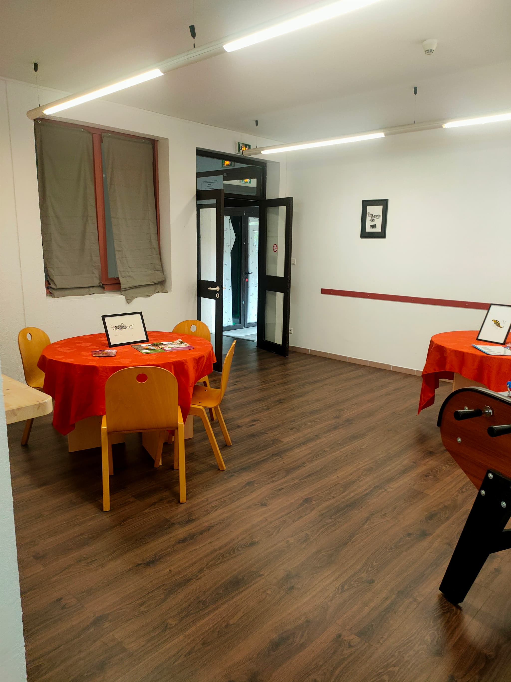 Salle de bar/billard avec accès wifi