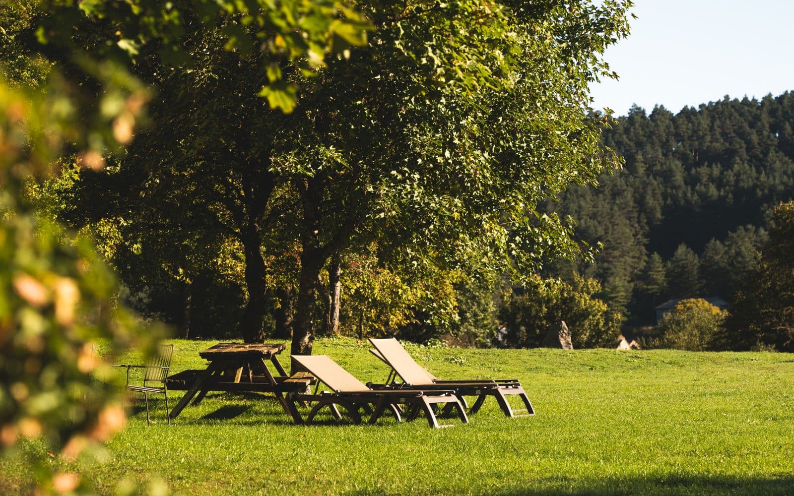 Parc naturel de 3 hectares