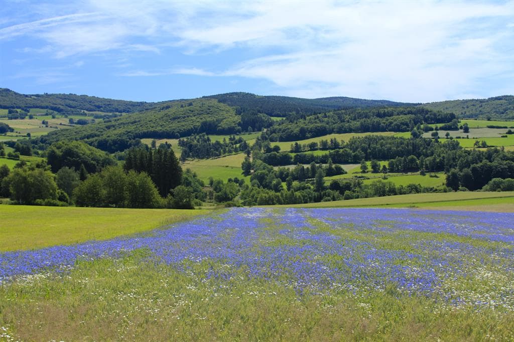Monts-de-la-Margeride
