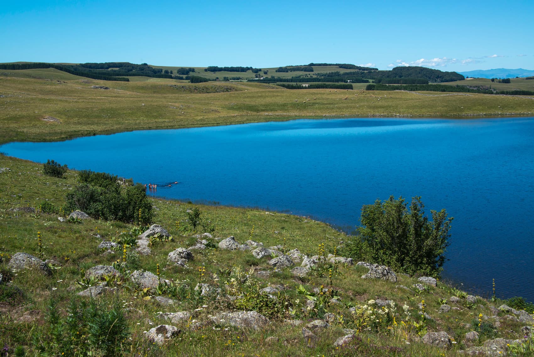 PNALAR048V506M00_02