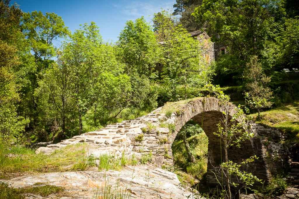 Transgardon-Saint Privat de Vallongue_10