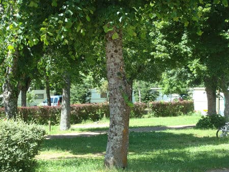 Camping-municipal-de-gilliaou-00052855-0