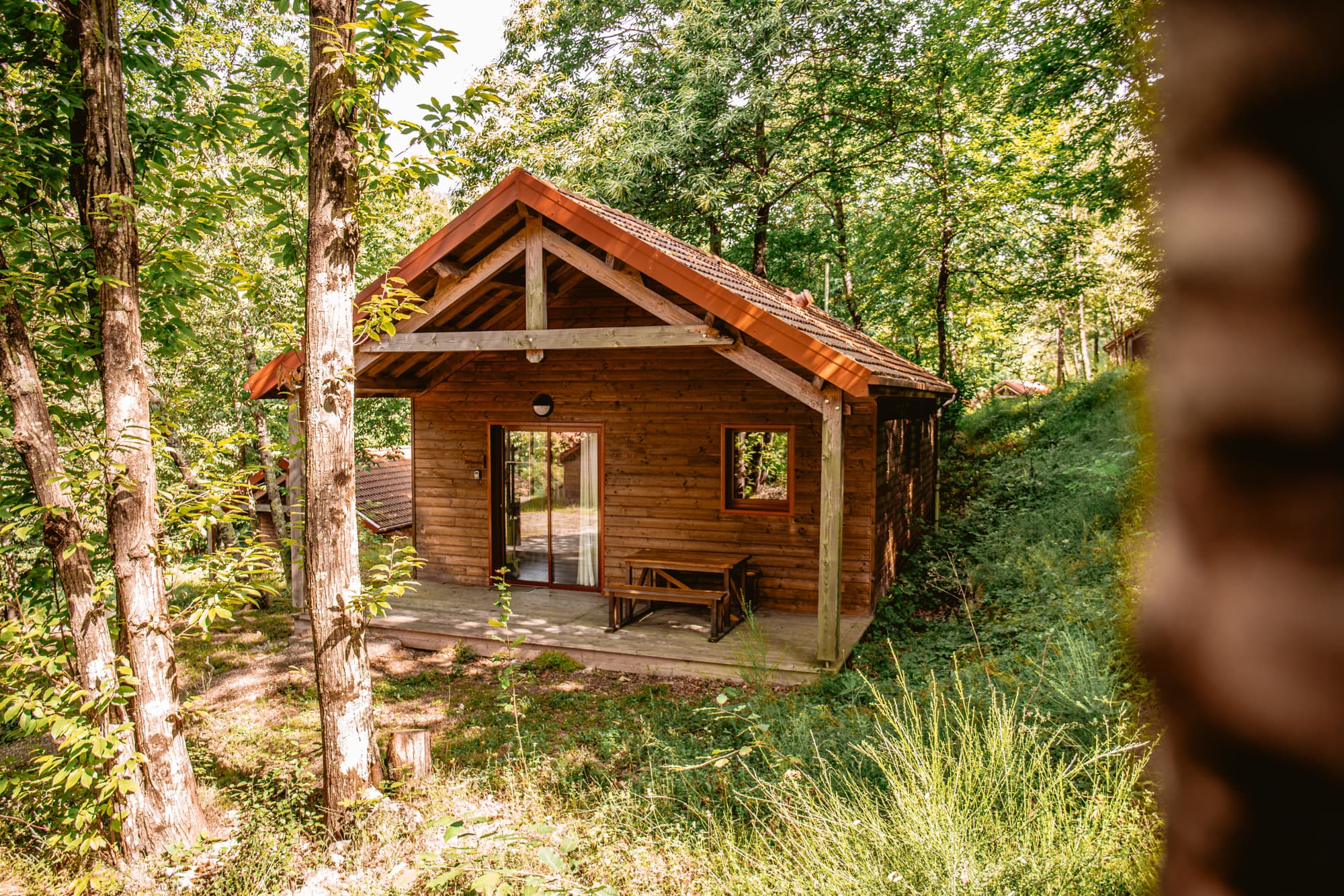 Chataigniers du lac lozere chalets BD (12)