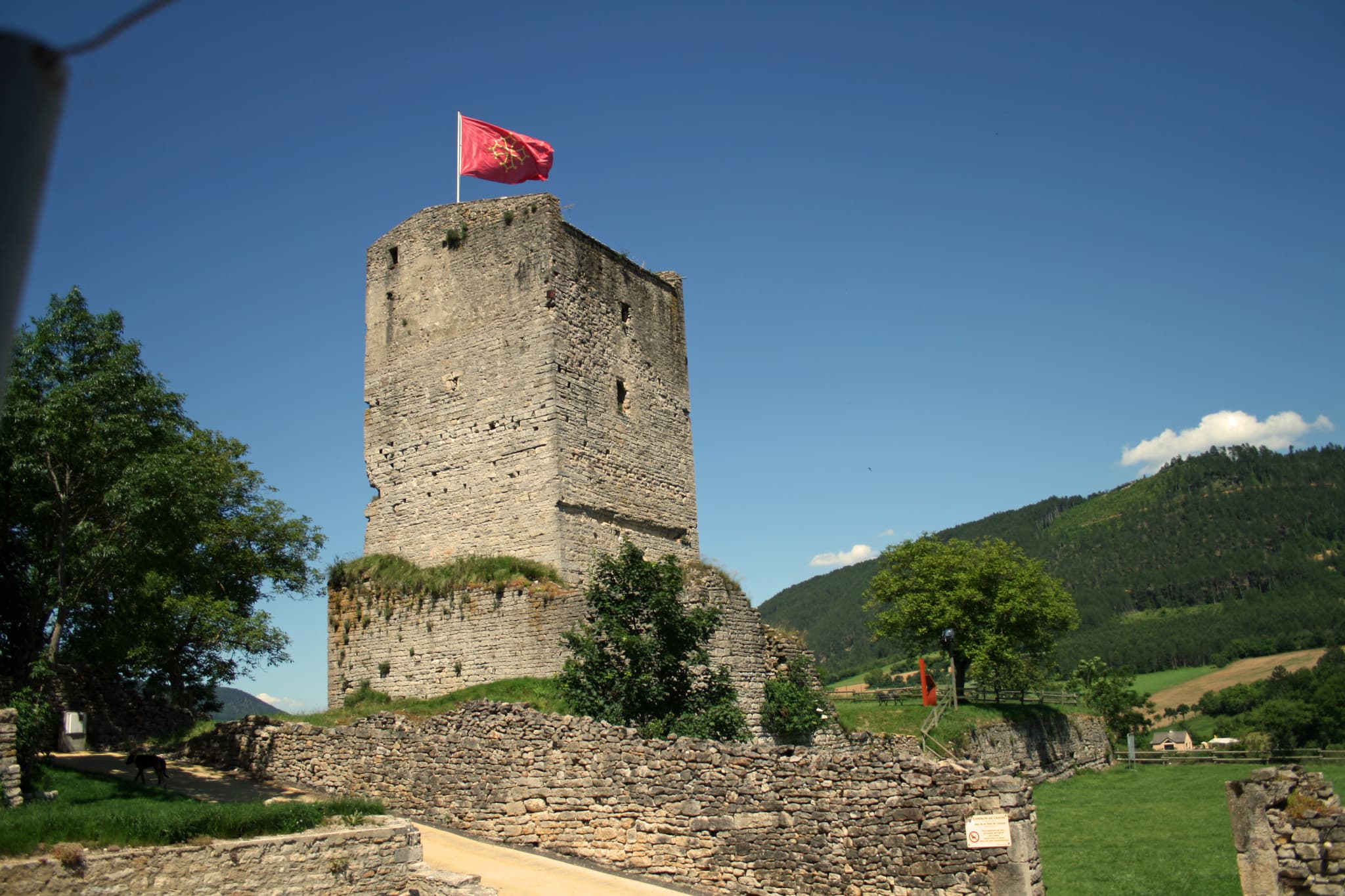 Donjon de Chanac