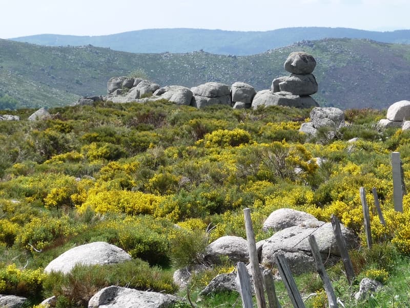 Paysage