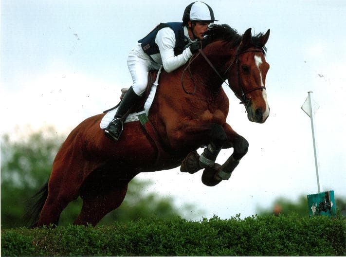 Stage cross