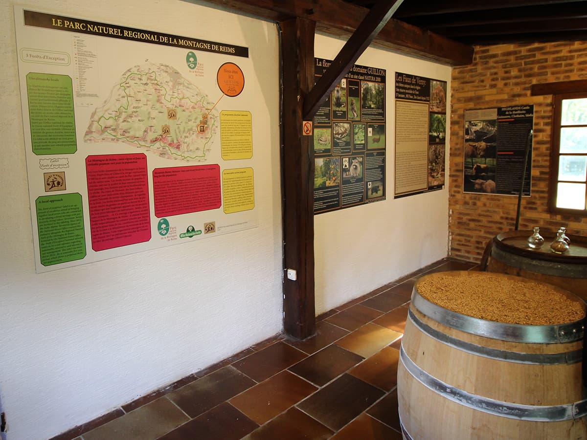 Musée Guillon - Louvois