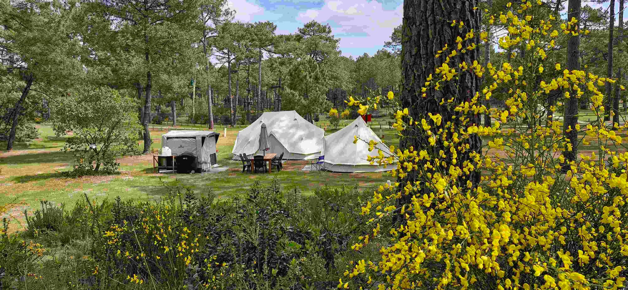 Camping la grigne