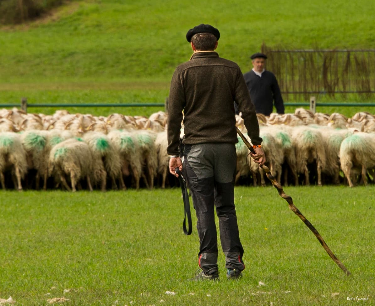 Cérémonie d'ouverture du concours de chien de berger de la Fête des bergers