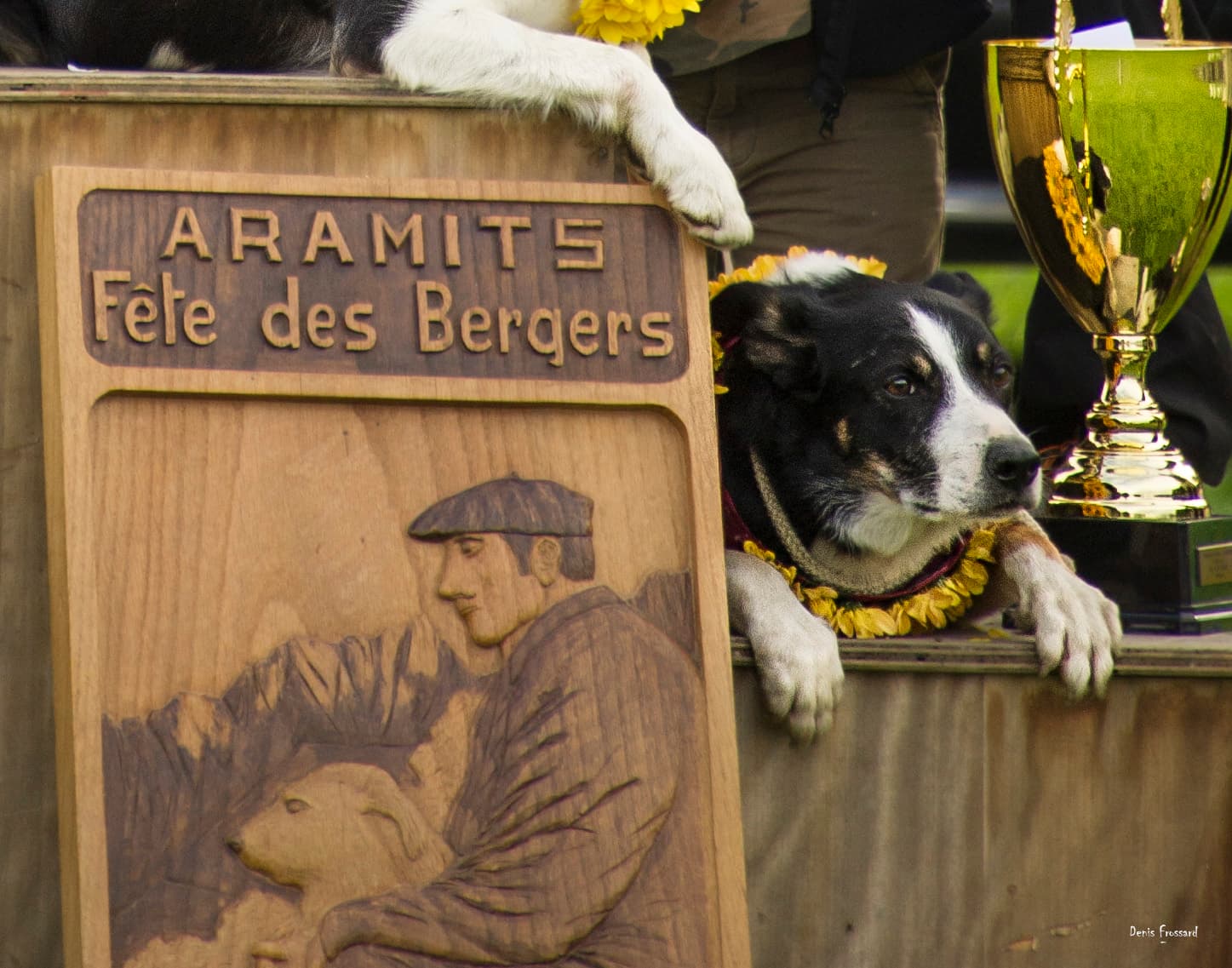 Remise des prix du concours de chien de berger de la Fête des bergers d'Aramits