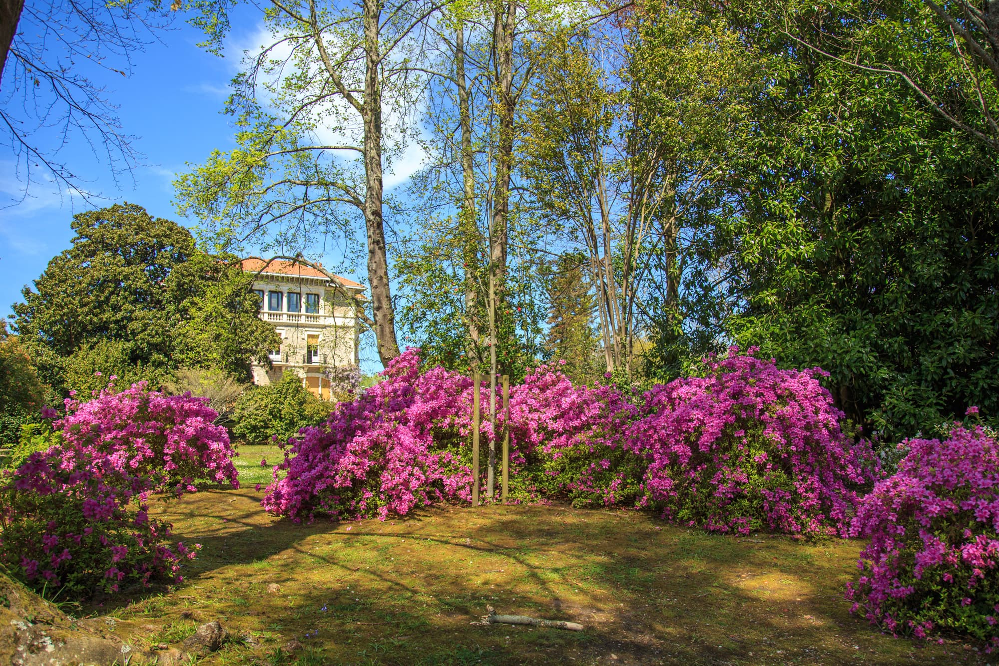 Villa Beatrix Enea