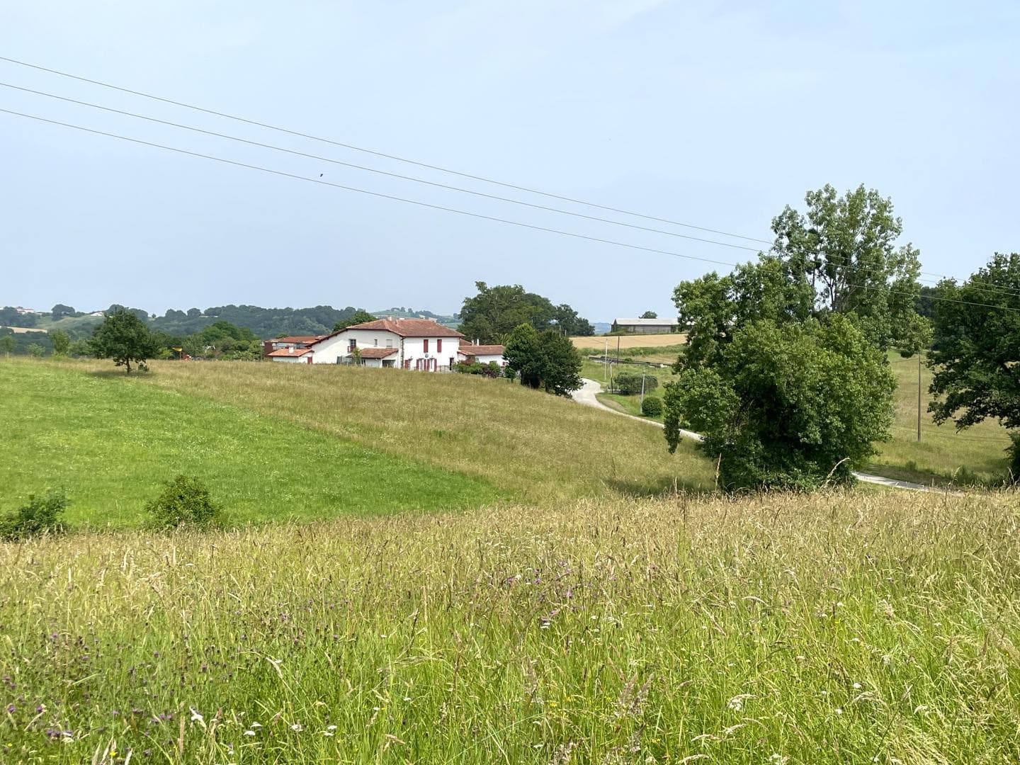 -bardos-pitabitxi-coeur-pays-basque--ref--G1421902