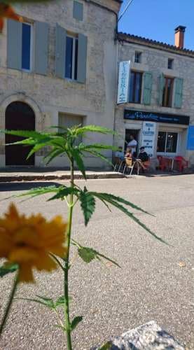 facade cote rond point