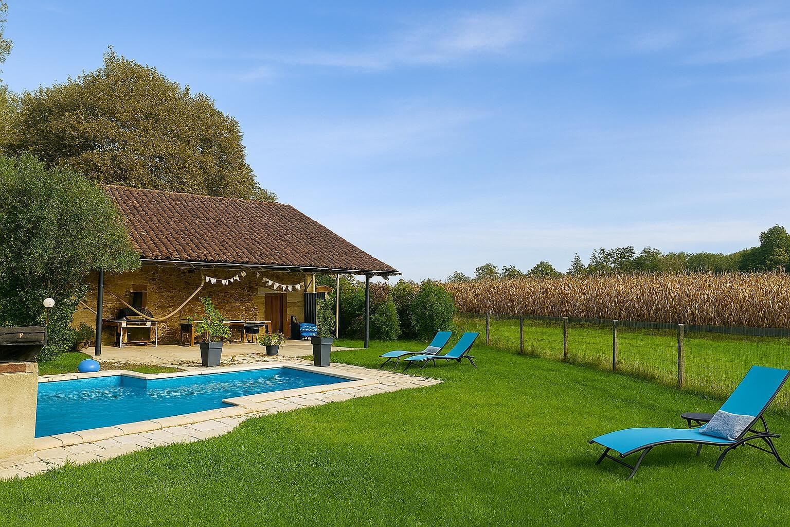 -goos-les-tournesols-adour-chalosse-tursan--ref--204842