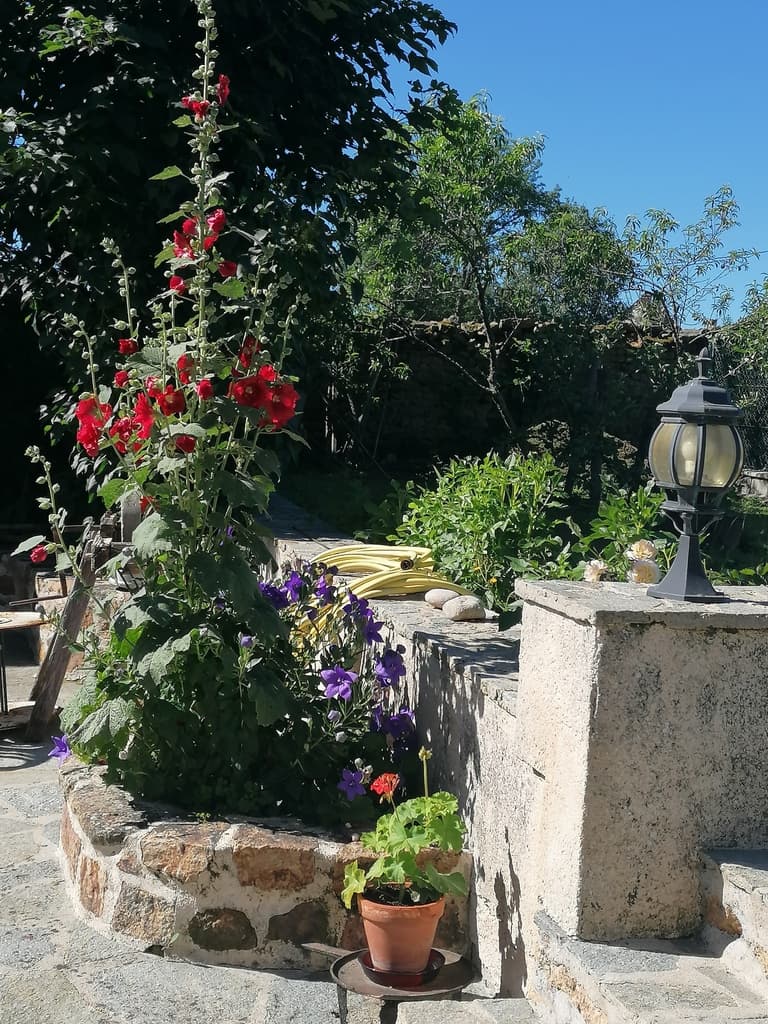 Jardin