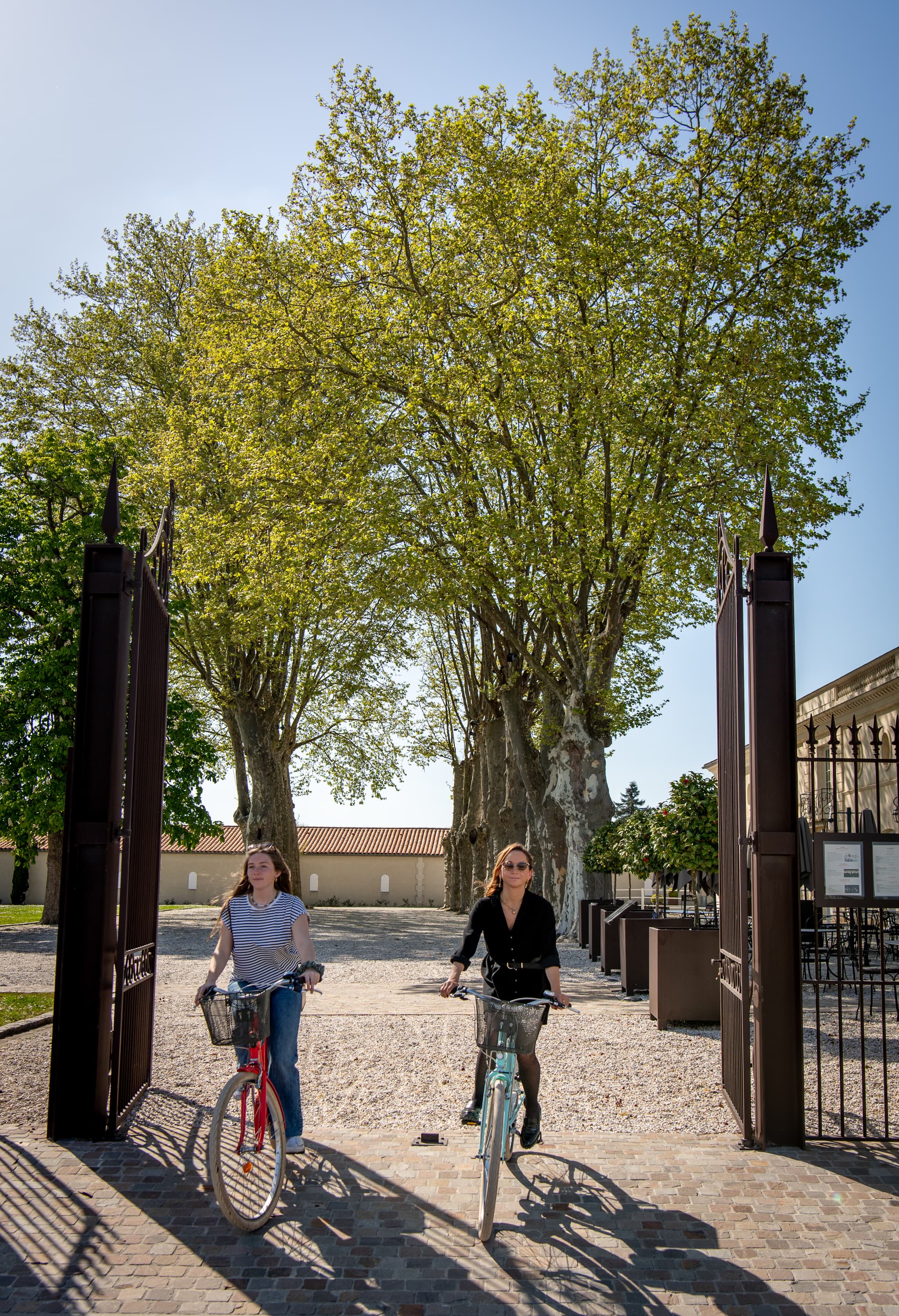 0363_marquisdeterme_artiste-associe_photographes_bordeaux_19042022