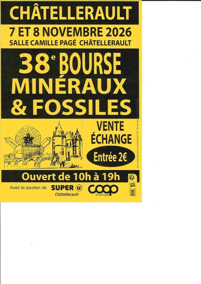 38ème Bourse-Exposition Minéraux, Fossiles, Pierres fines et Bijoux_1