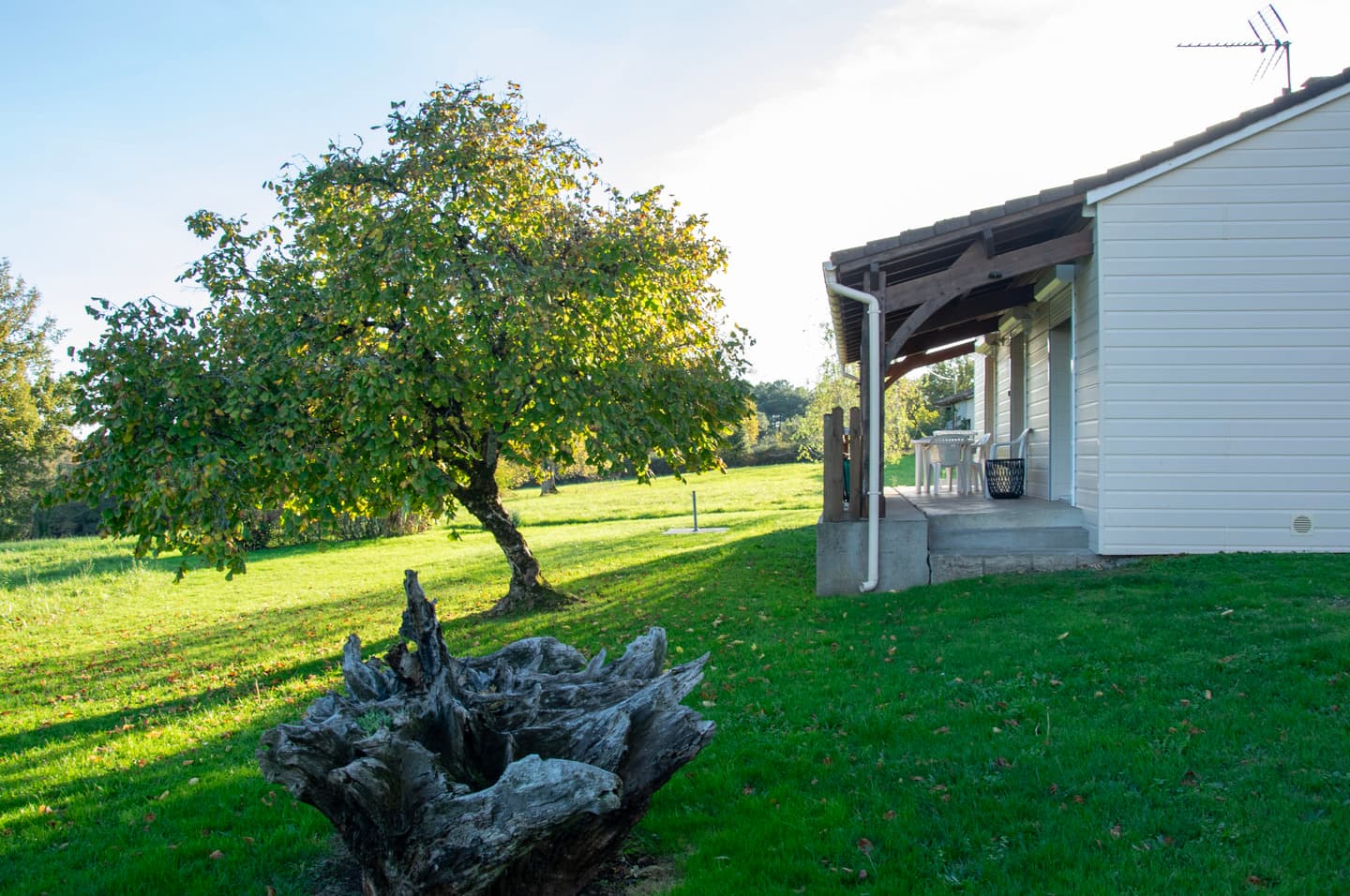 gite-bois-cassé-arbres-saint-laurent-des-hommes-tourisme-vallee-isle