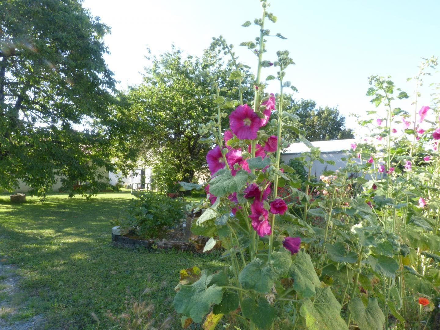 Le jardin