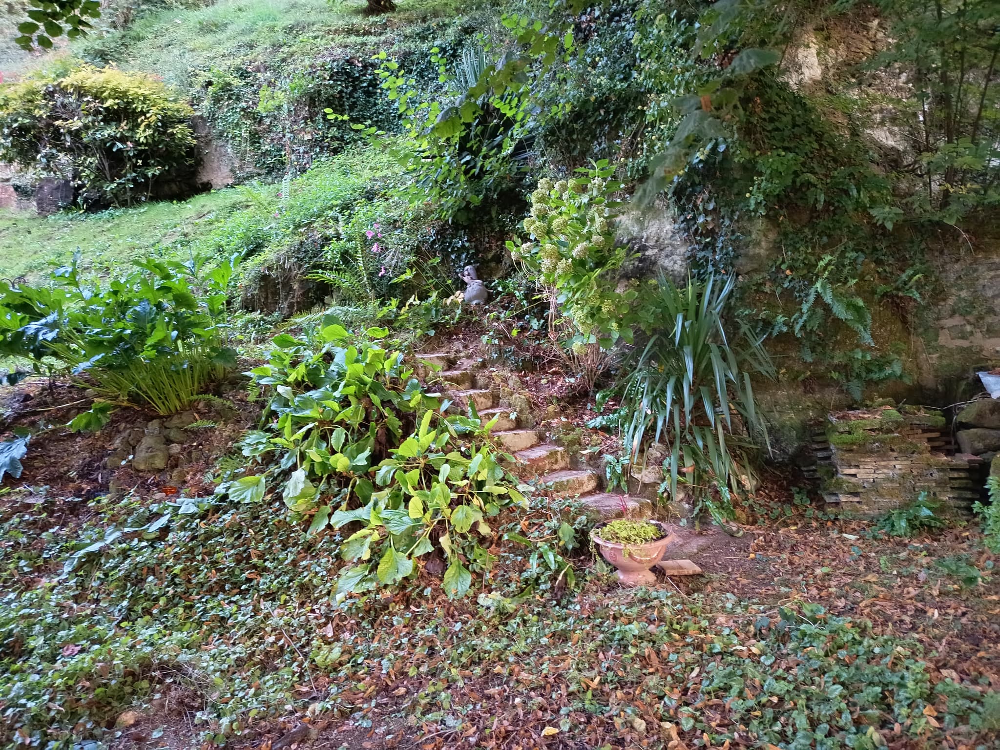 Acces coteaux bucolique