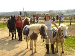 poneys.jpg_3
