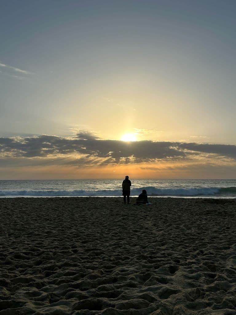 115 Le chant des vagues_Messanges_Landes Attractive Sud