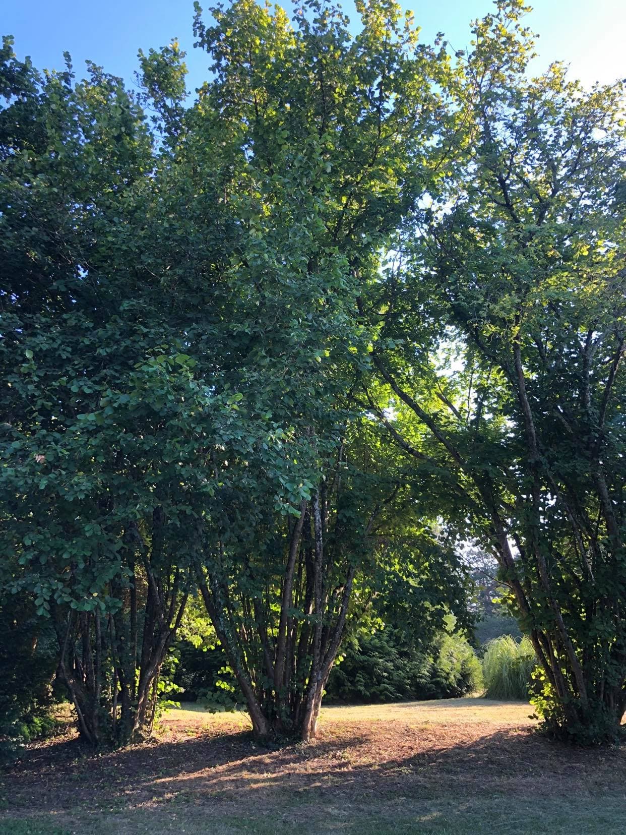 Parc Bardet