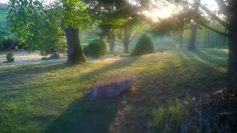 11rayon soleil coté sud