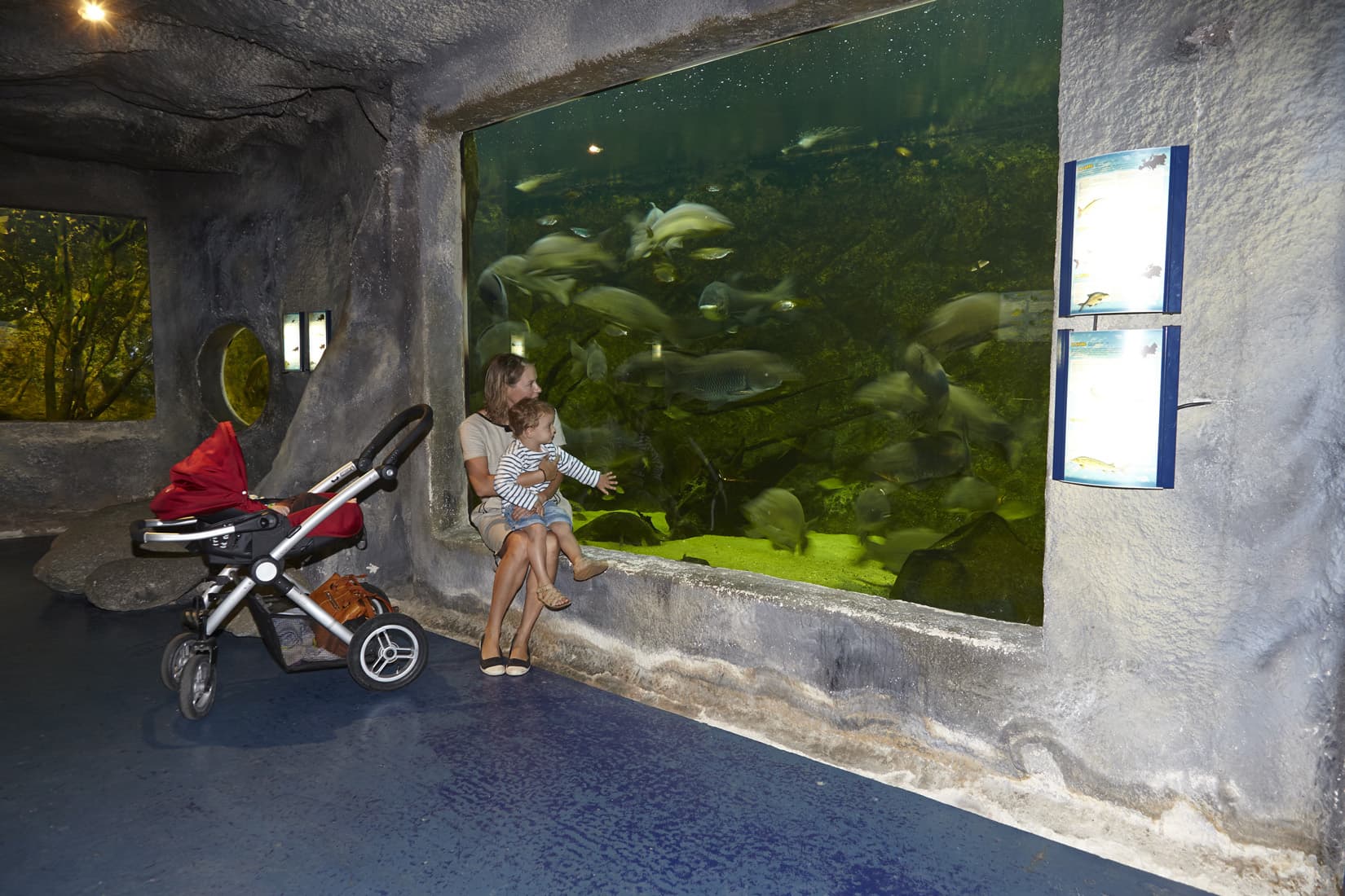 L'aquarium