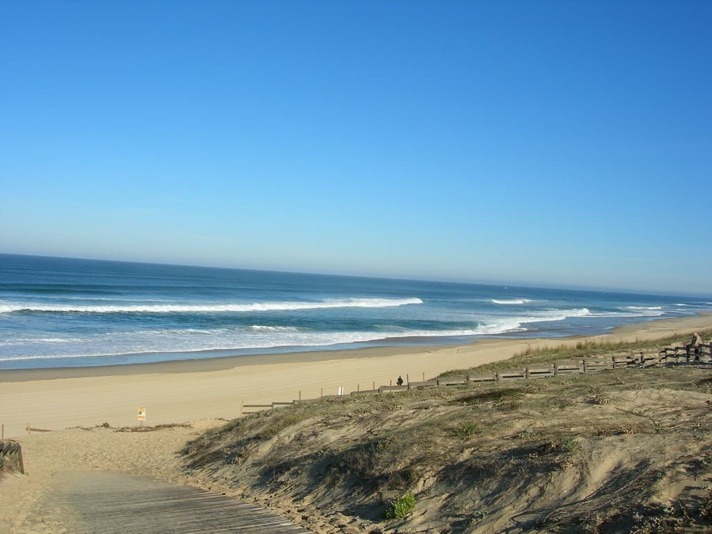 124 Maison Agapanthe_Moliets_Landes Atlantique Sud