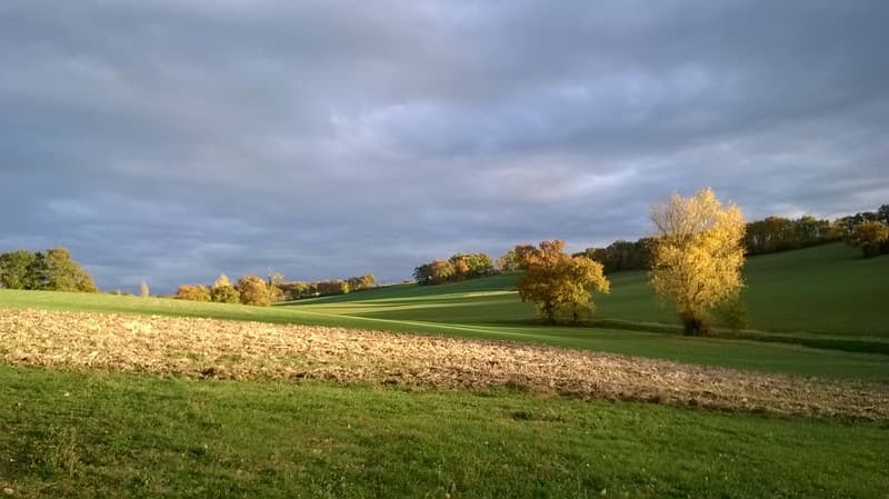 12automne coté est