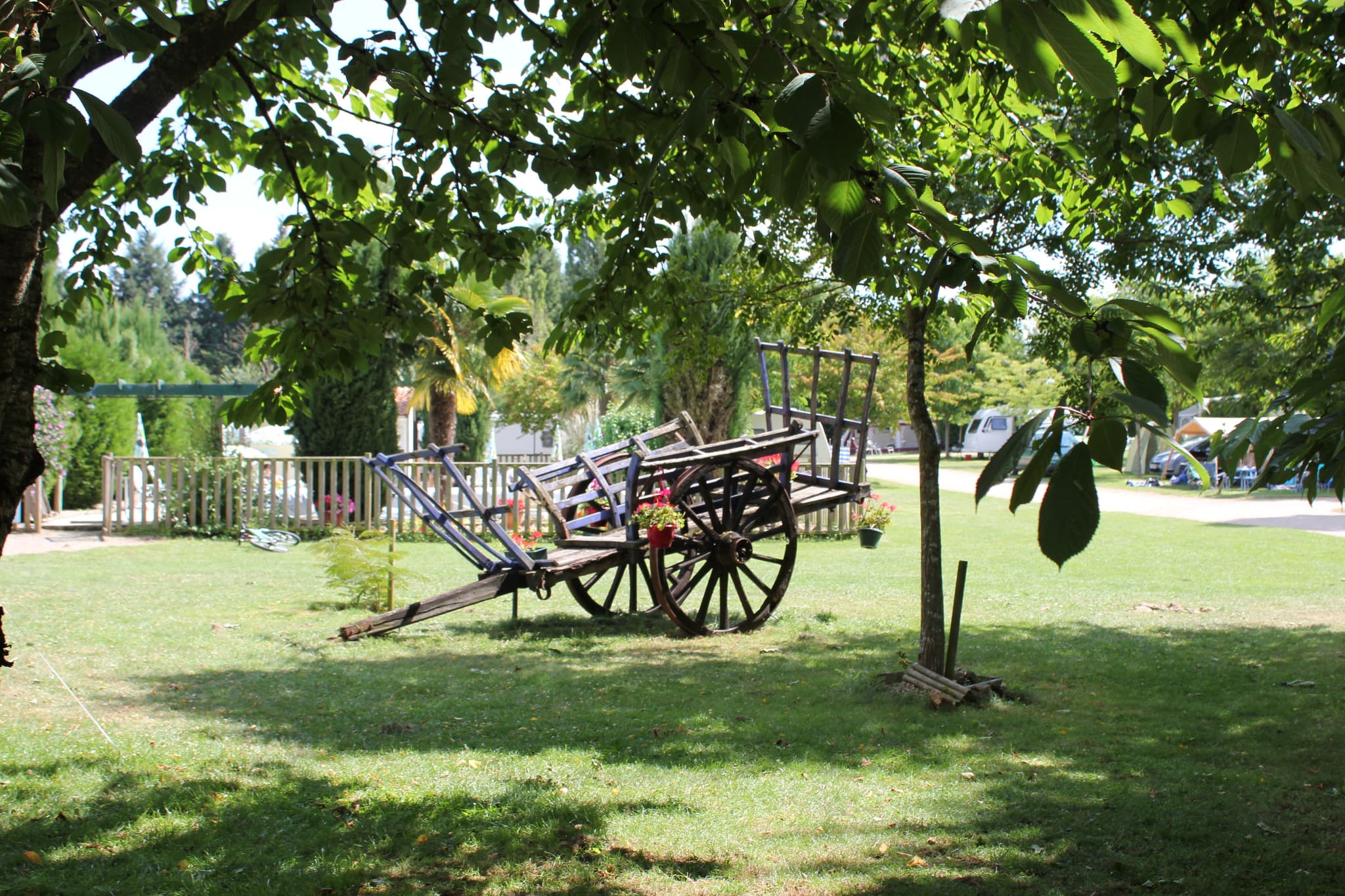 July 2014 018.JPG_4