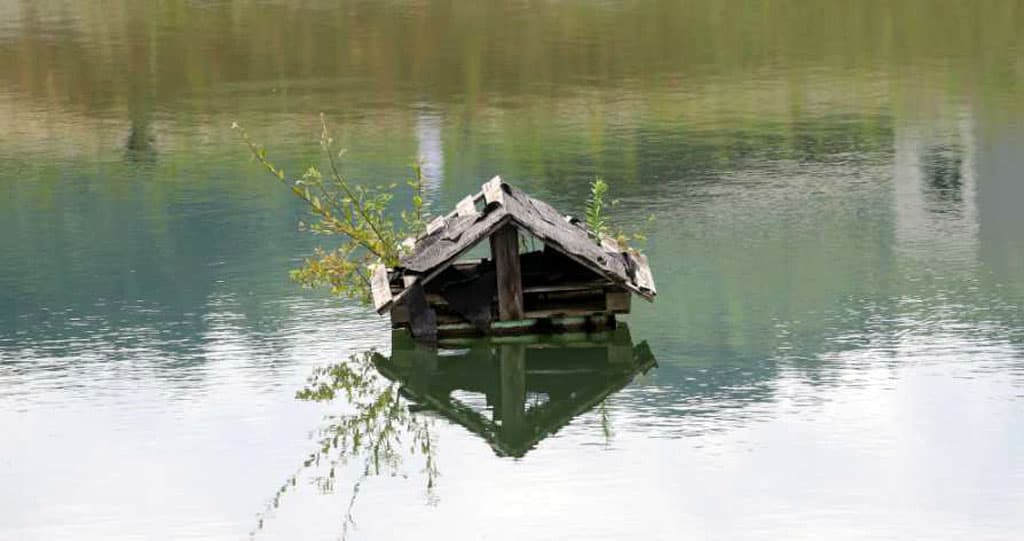 Réserve départementale de biodiversité d’Argentat-sur-Dordogne_12