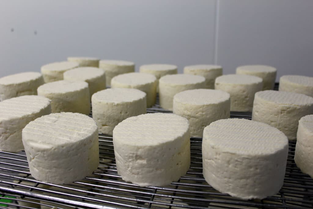La fromagerie Varsoise_4
