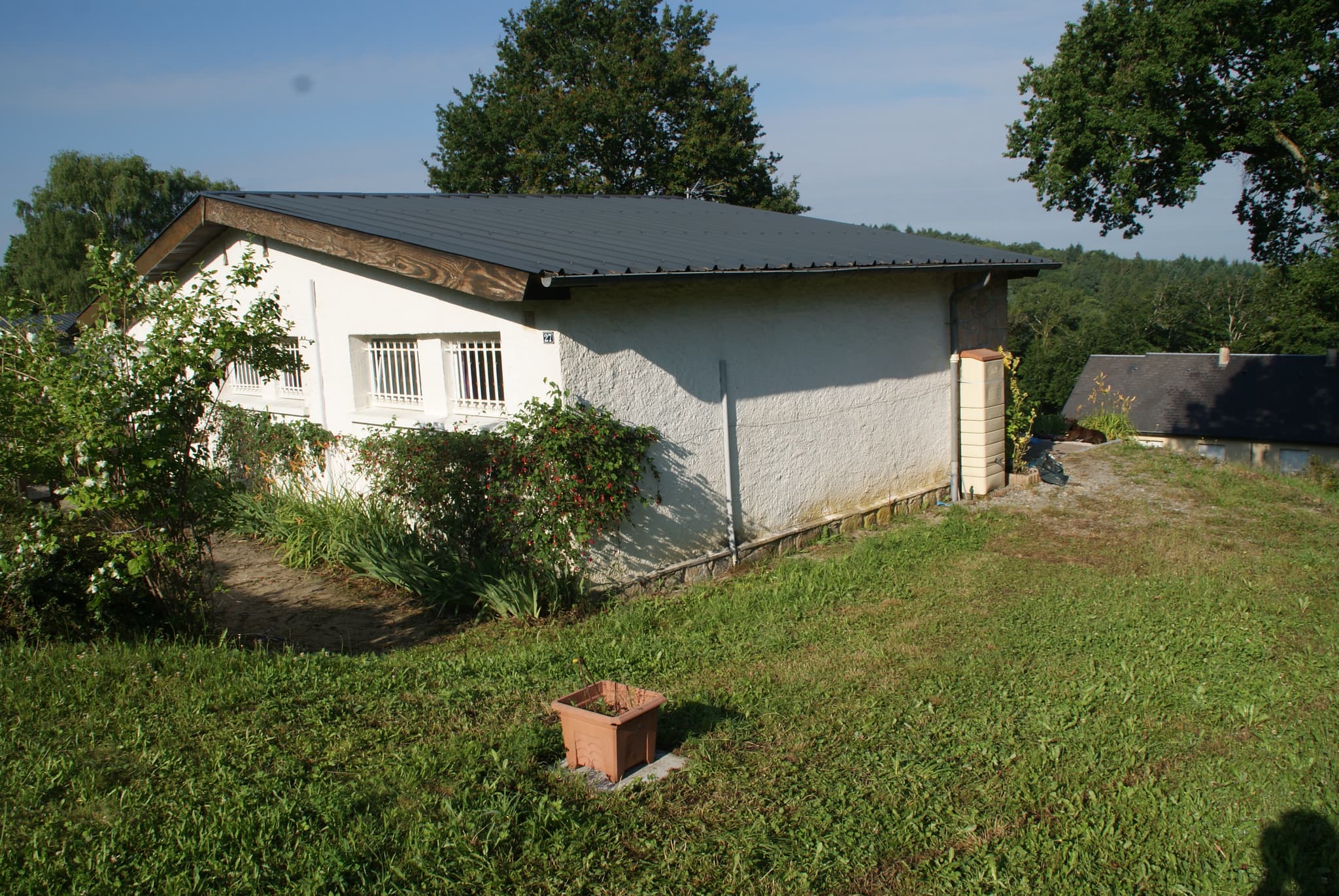 Terrain_13