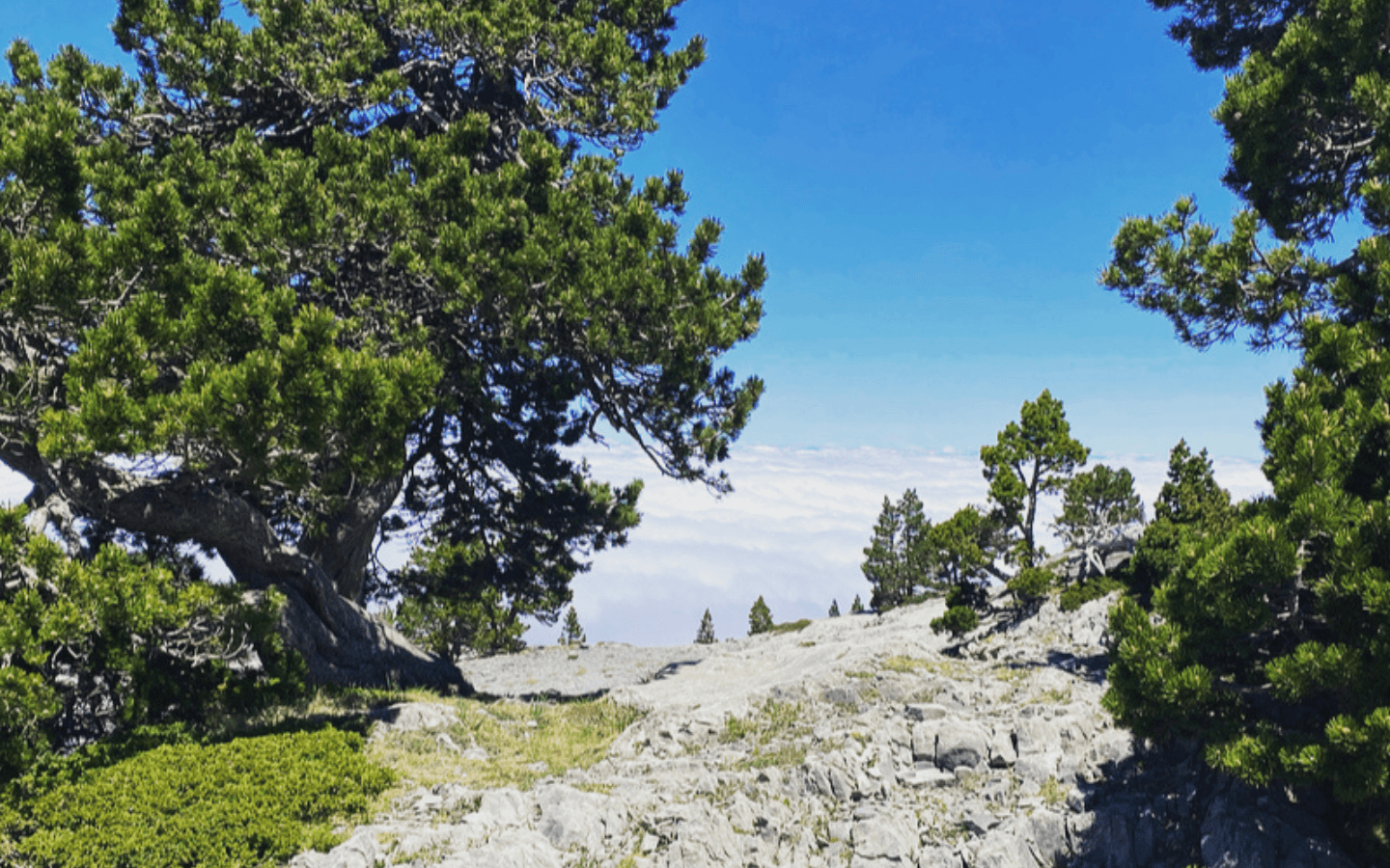 Vue des montagnes