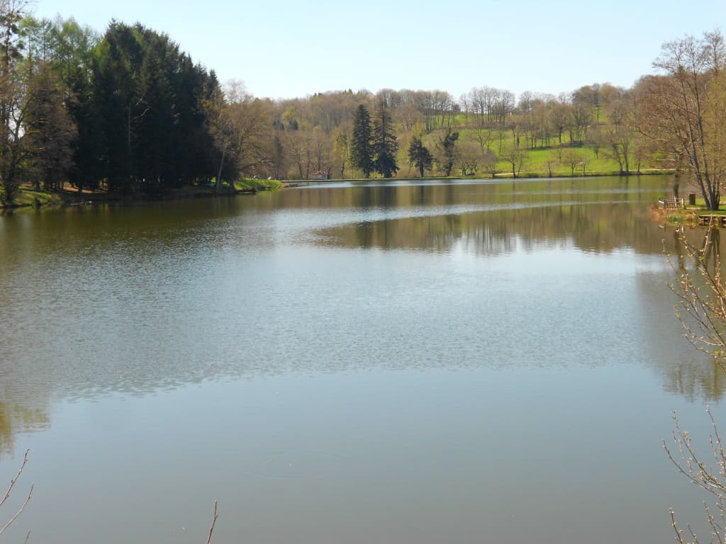 Etang Neuf_2