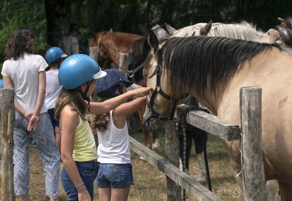 Ranch de Lauzerat_6
