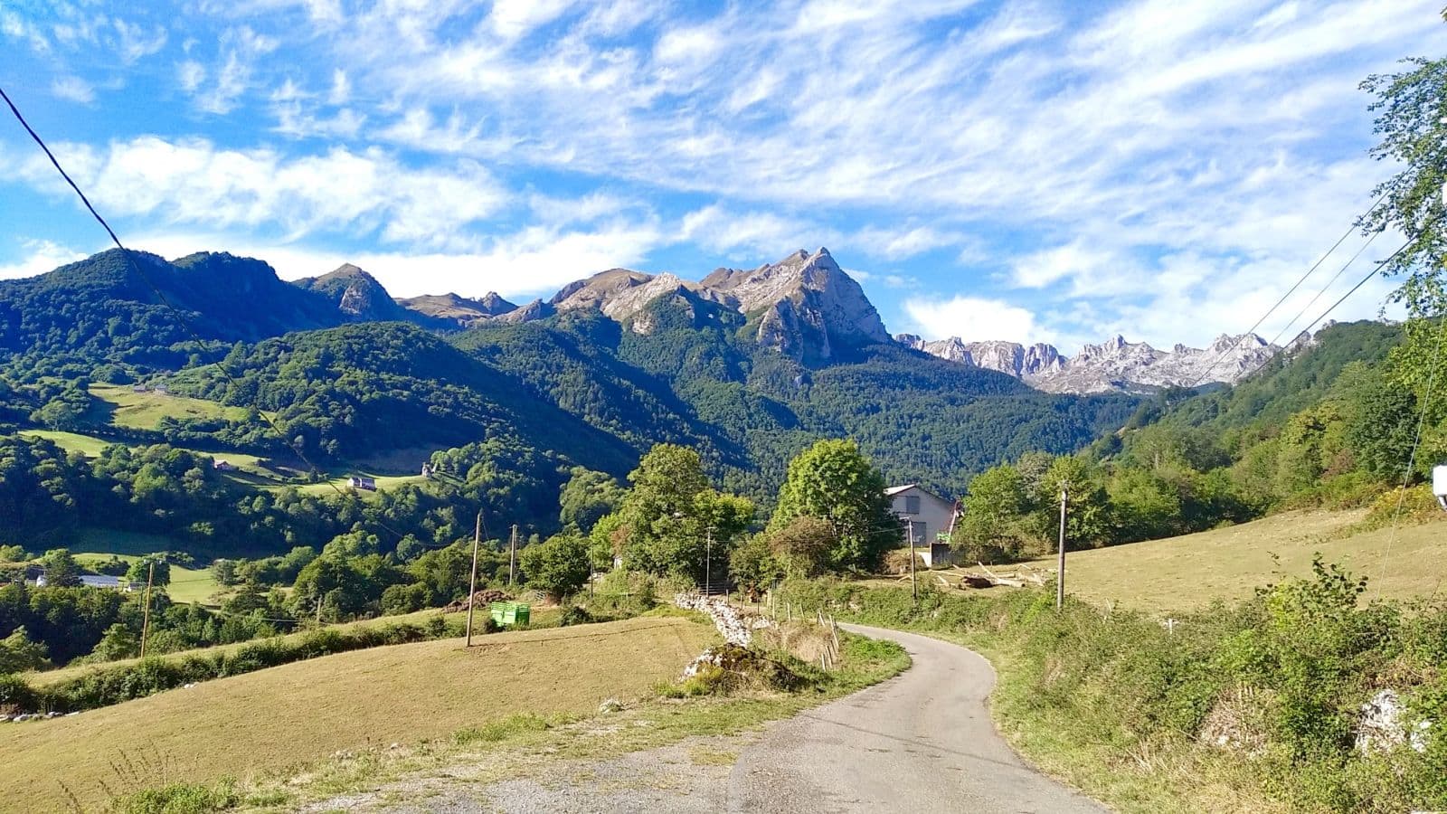 Vue depuis la cabane (été)