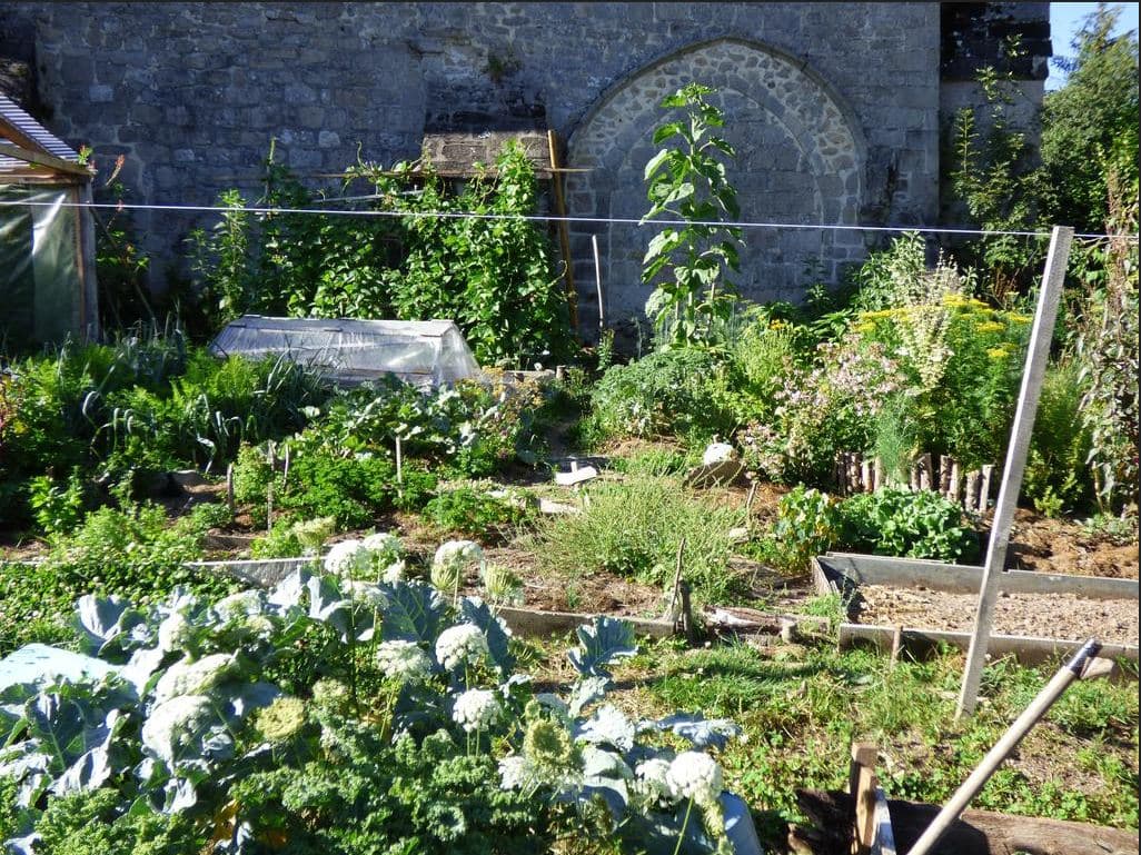 Jardin-potager