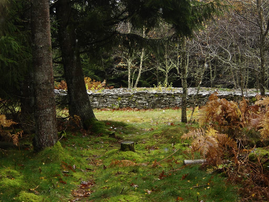 Tumulus du Puy de Plane_2