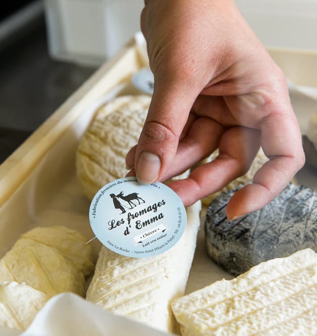 fromages1_fromages_emma_marais_poitevin.jpg_14