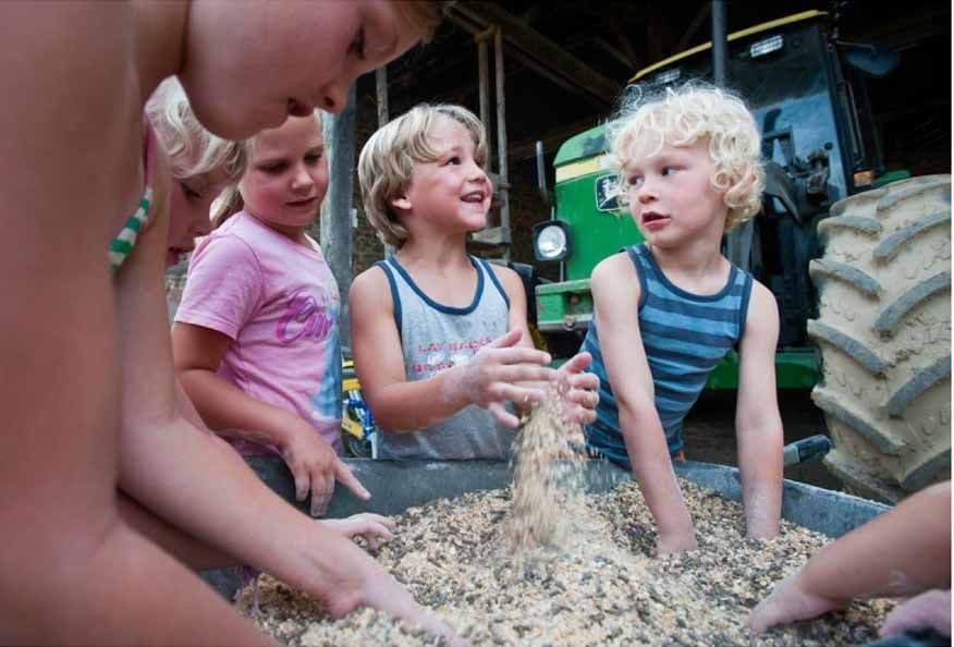 Camping à la ferme du Domaine de Royères_1